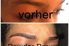 Powder Brows