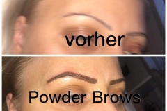 Powder Brows