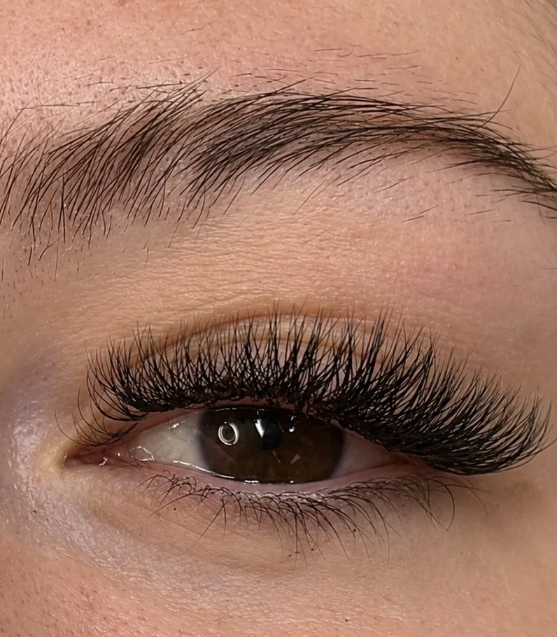 Detailaufnahme einer Volumen-Wimpernverlängerung